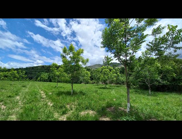 72HA FARM FOR SALE IN NELSPRUIT RURAL